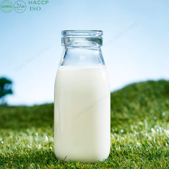 Kitchen Camp ノンスティックソースパン 鋳鉄エナメル 小さなミルク沸騰ソースパン 蓋付き